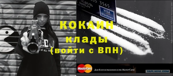 прущие грибы Снежинск