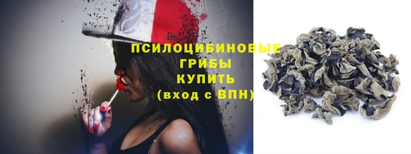 прущие грибы Снежинск