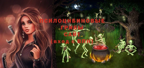 прущие грибы Снежинск